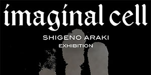 imaginal cell　SHIGENO ARAKI　EXHIBITION