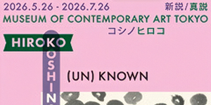 (UN) KNOWN HIROKO KOSHINO ―新説／真説 コシノヒロコー